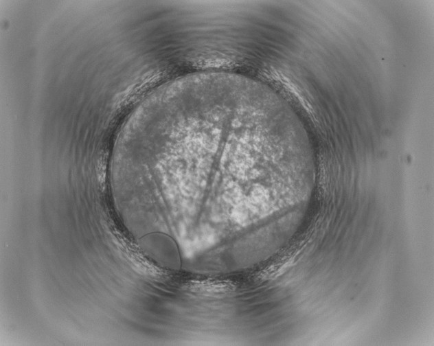 X0000087370545200705111713