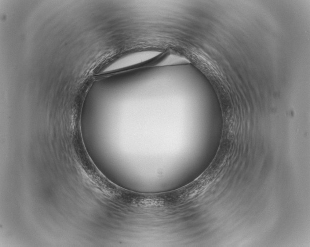 X0000087370546200705111713