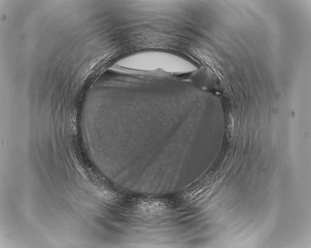 X0000087370547200705111713