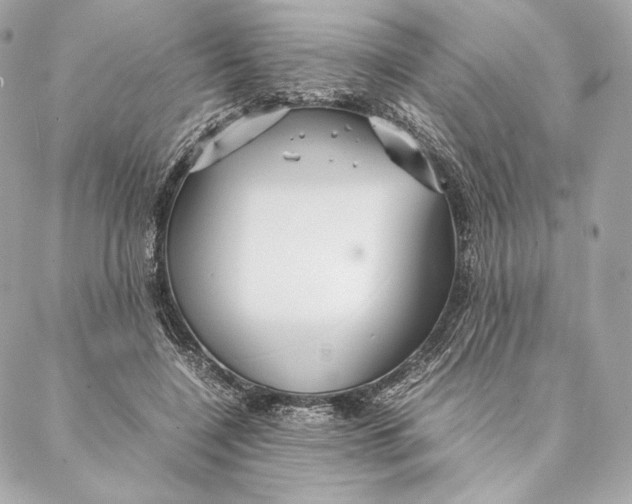 X0000087370548200705111713