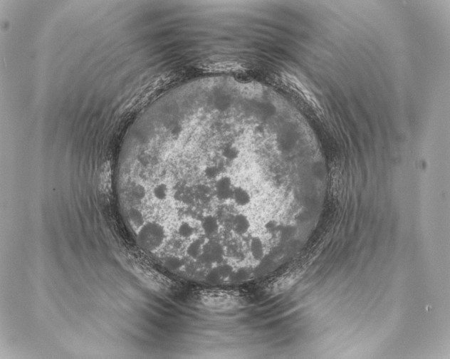 X0000087370549200705111713