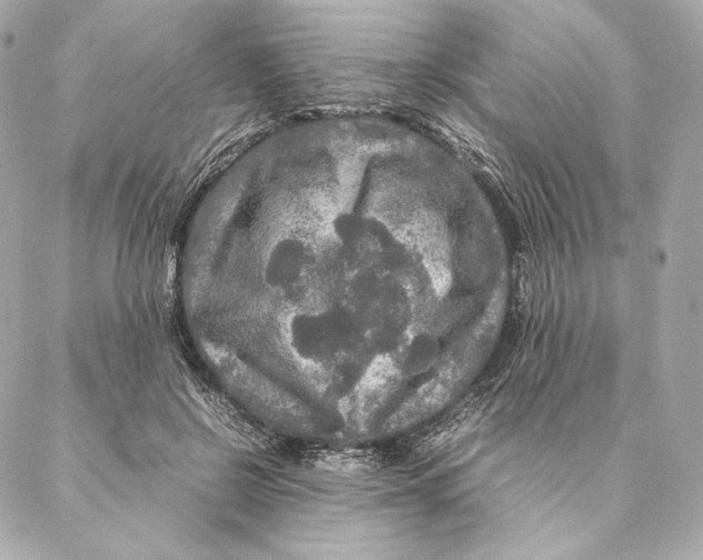 X0000087370550200705111713