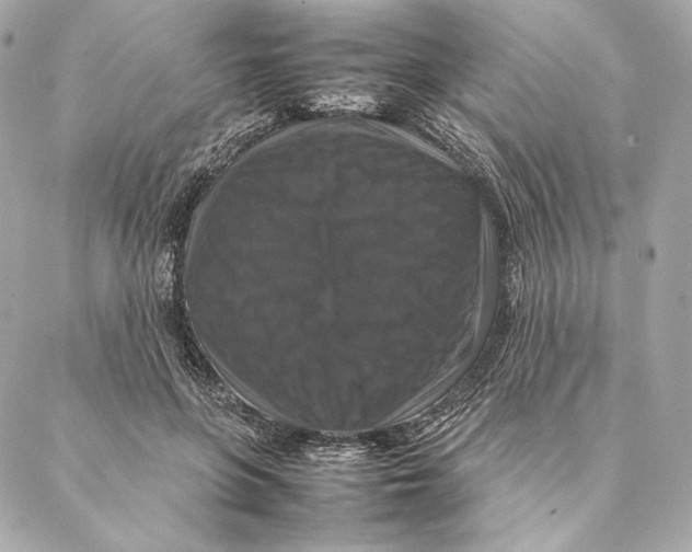 X0000087370551200705111713