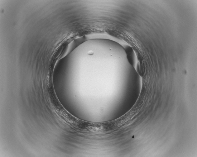 X0000087370552200705111713