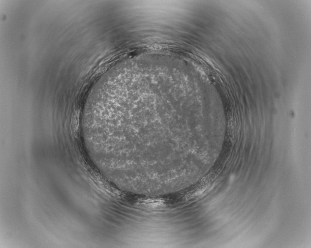 X0000087370554200705111713