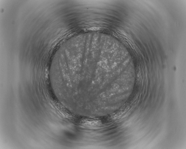 X0000087370555200705111713