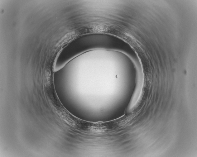 X0000087370556200705111713