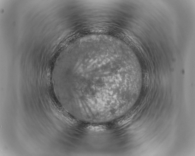 X0000087370557200705111713