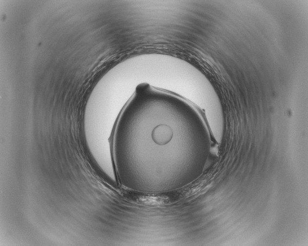 X0000087370558200705111713