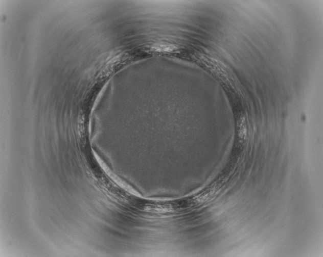 X0000087370559200705111713