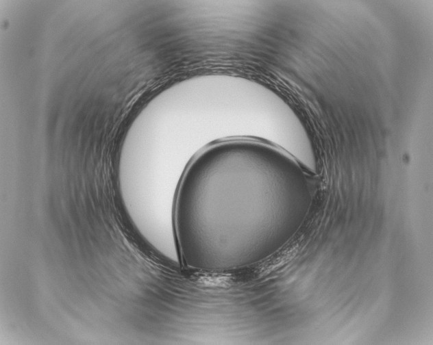 X0000087370560200705111713