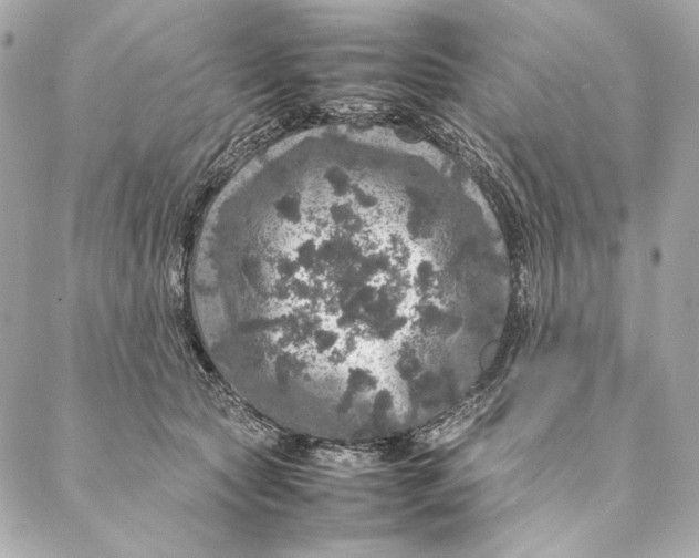 X0000087370561200705111713