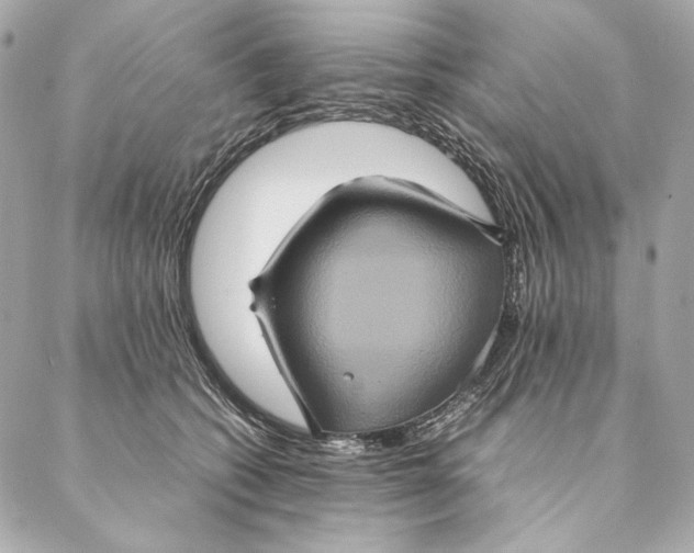 X0000087370562200705111713