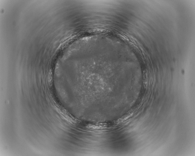 X0000087370563200705111713