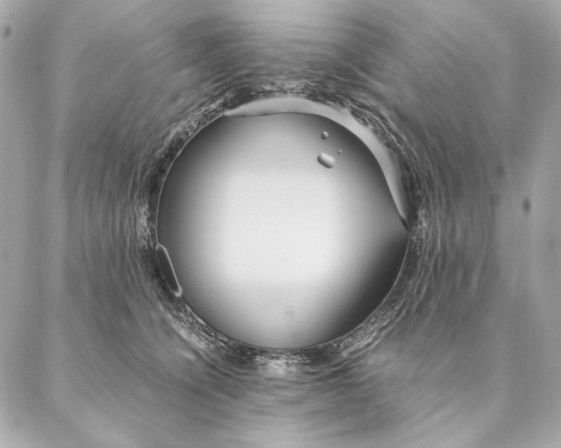 X0000087370564200705111713