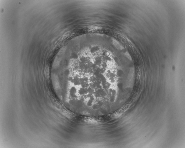 X0000087370565200705111713