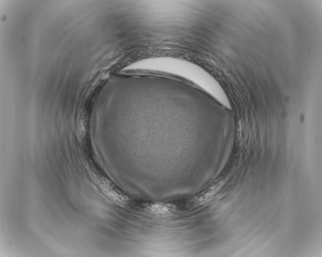 X0000087370566200705111713