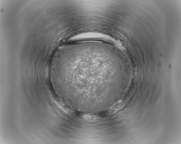 X0000087370568200705111713