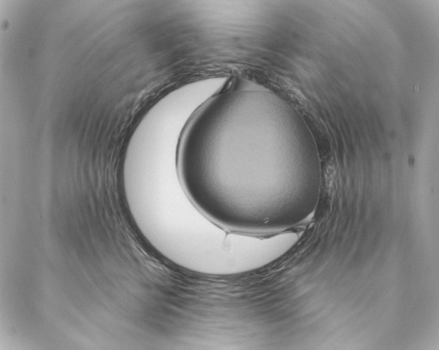 X0000087370570200705111713