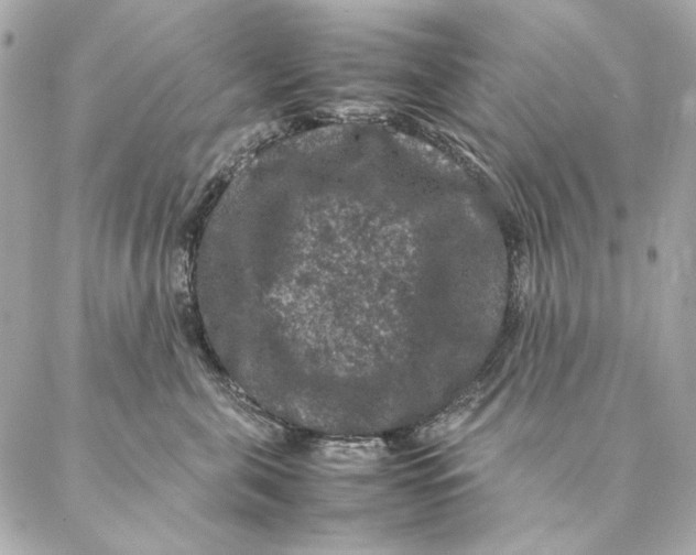 X0000087370571200705111713