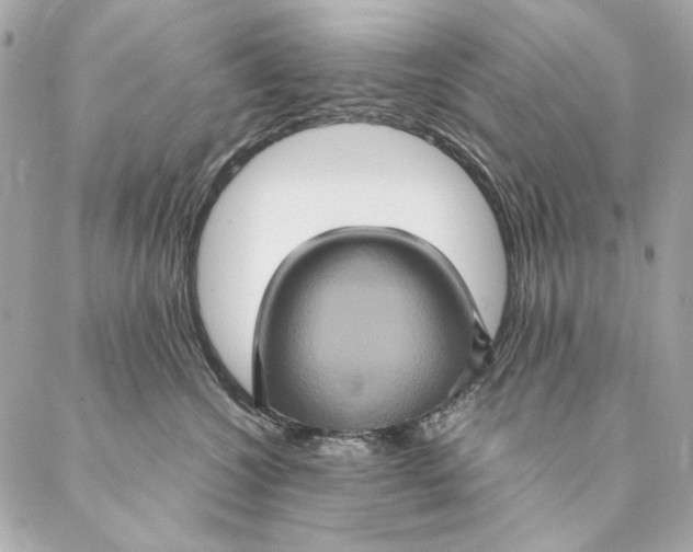 X0000087370572200705111713