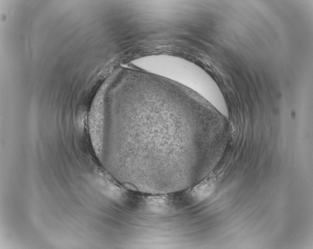 X0000087370574200705111713