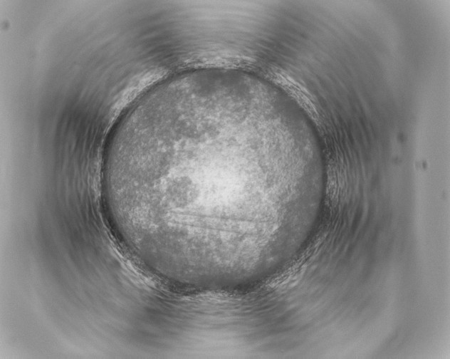 X0000087370578200705111712