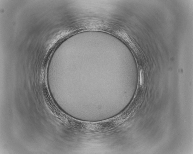 X0000087370579200705111712