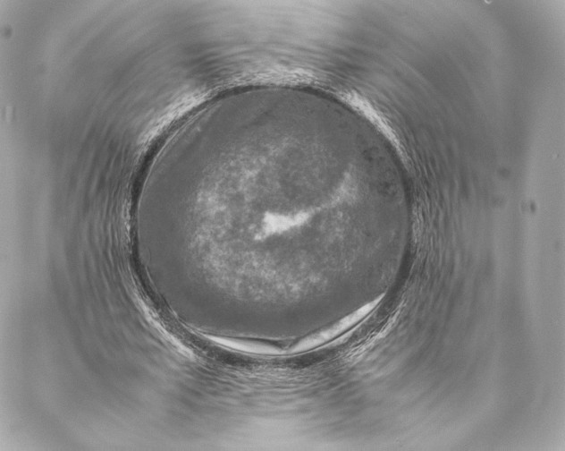 X0000087370581200705111712