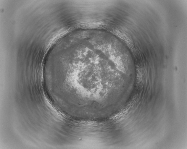 X0000087370582200705111712