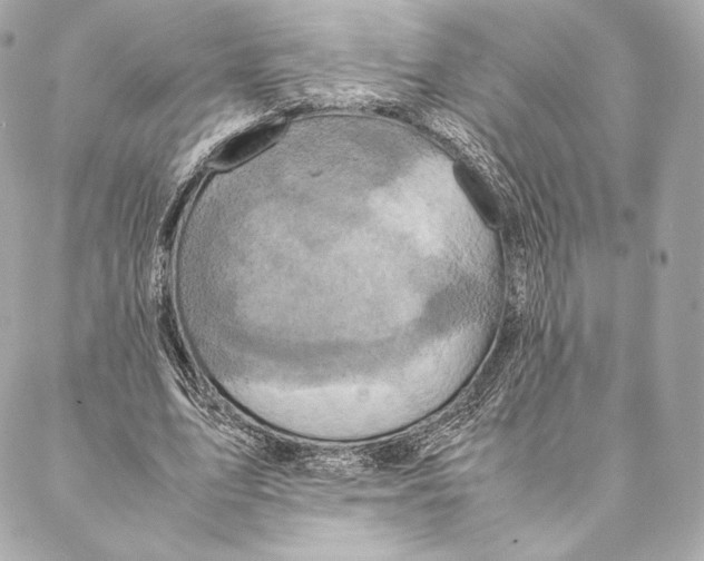 X0000087370583200705111712