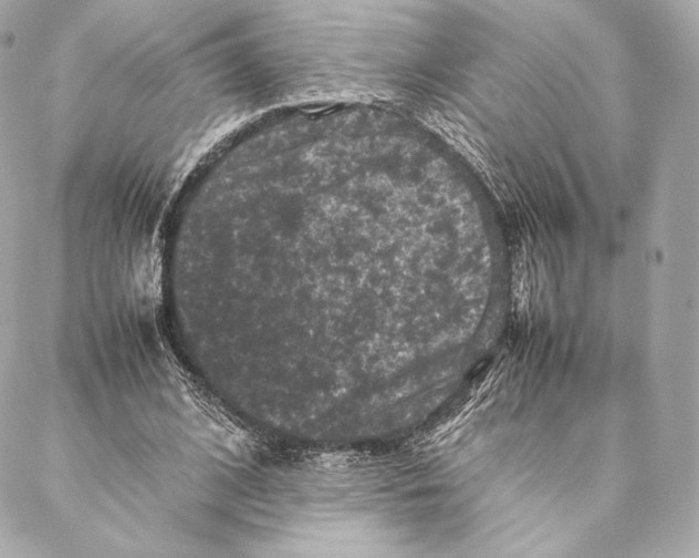 X0000087370584200705111712