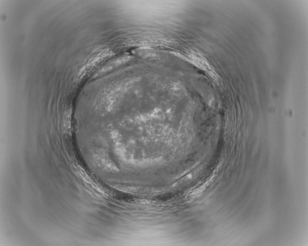 X0000087370585200705111712