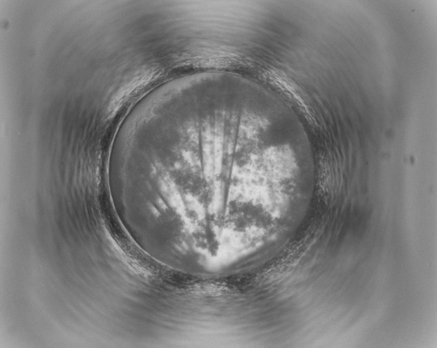 X0000087370586200705111712