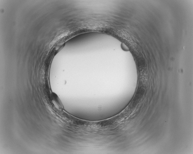 X0000087370587200705111712