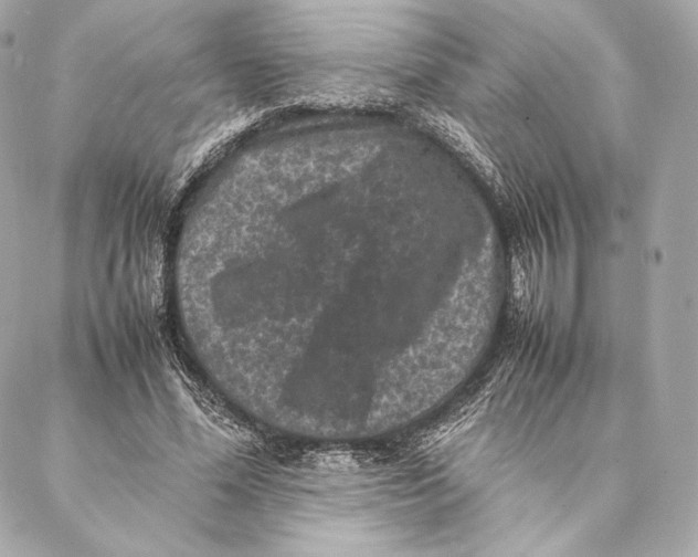 X0000087370588200705111712