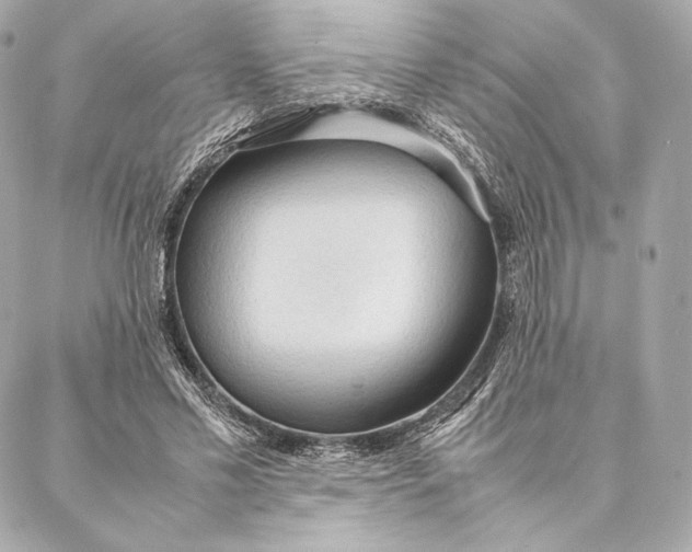 X0000087370589200705111712