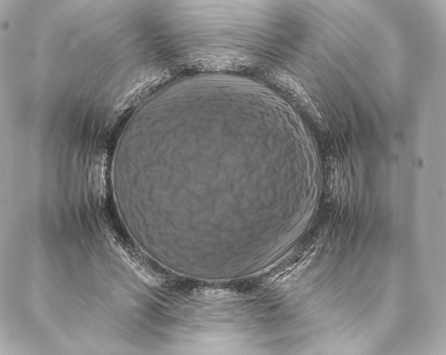 X0000087370590200705111712