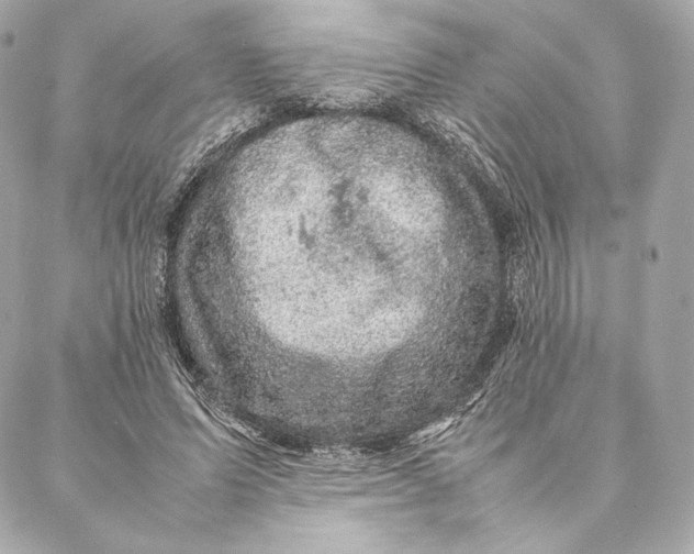 X0000087370591200705111712