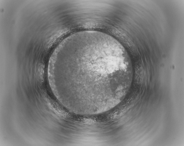 X0000087370592200705111712