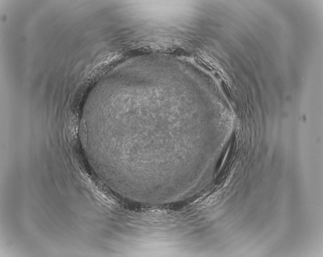 X0000087370593200705111712