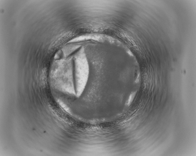 X0000087370594200705111712