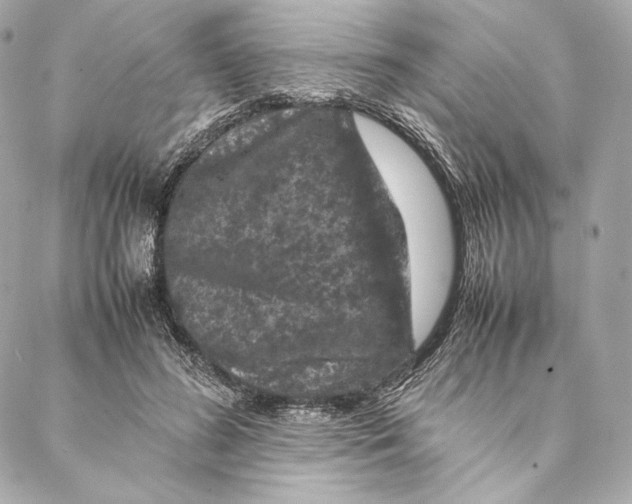 X0000087370596200705111712