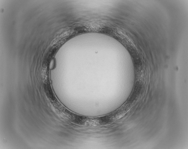 X0000087370599200705111712