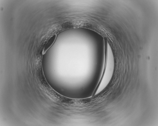 X0000087370601200705111712