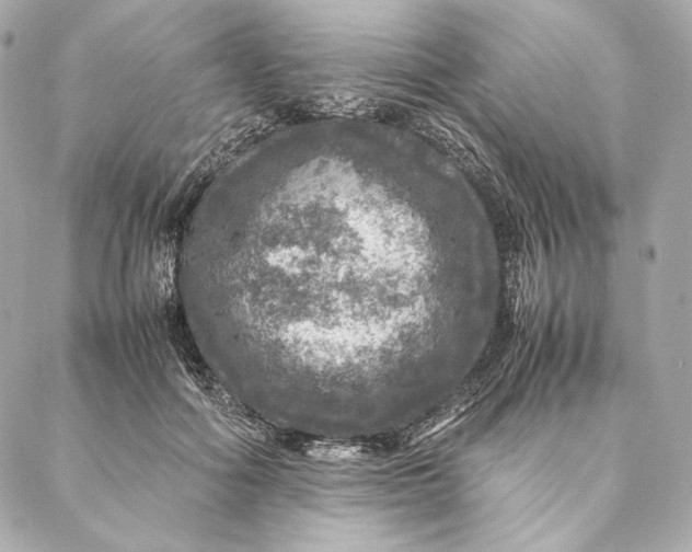 X0000087370602200705111712