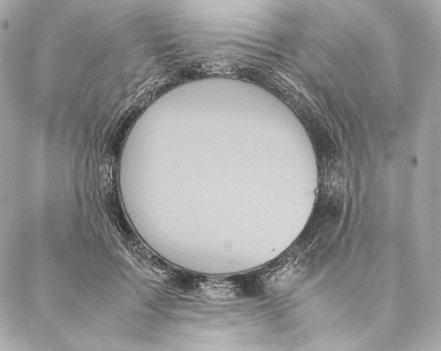 X0000087370603200705111712