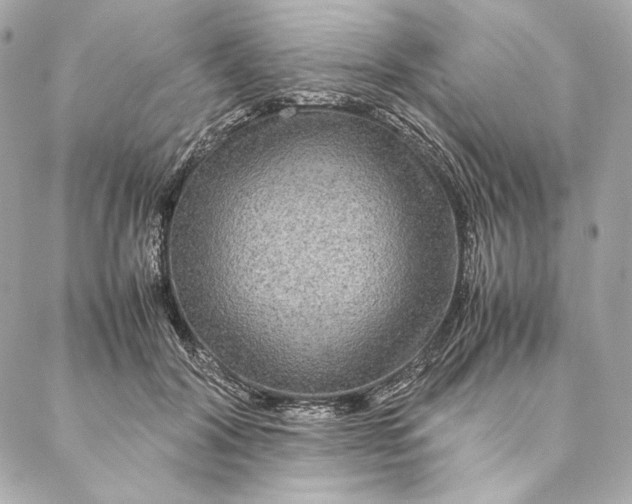 X0000087370604200705111712