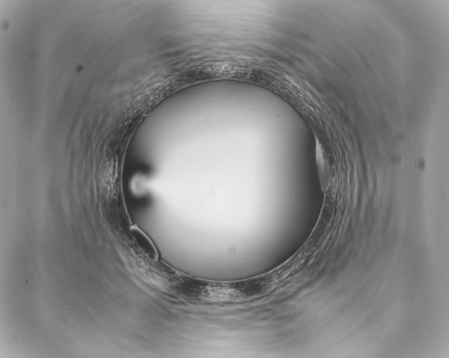 X0000087370605200705111712