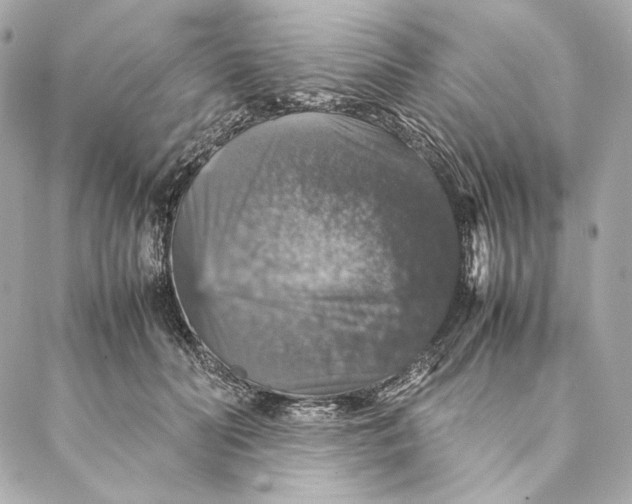 X0000087370606200705111712